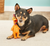 Multipet Globken Latex Dog Toy