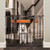Carlson Pet Products Design Paw Extra Wide Pet Gate