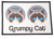 Petrageous Designs Grumpy Cat Food & Water Placemat