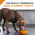 Purina Pro Plan Savor Adult Classic Beef & Rice Entree Canned Dog Food