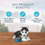 Blue Buffalo Wilderness Puppy Chicken Recipe Grain-Free Dry Dog Food 11 lb