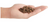 Orijen Regional Red Grain-Free Dry Dog Food
