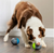 PetSafe Ricochet Interactive Sound Game Dog Toy