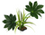 Incredipet Jungle Canopy Reptile Terrarium Plant