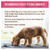 Merrick Lil' Plates Mini Medley Wet Dog Food Variety Pack 12 ct