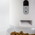 Instachew Purechew Smart Pet Feeder with HD Camera