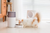Instachew Purebite Smart Pet Feeder