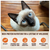 Wellness Core Natural Chicken, Turkey, & Chicken Liver Classic Pate Grain