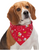 Pet Edge Holiday Peppermint Twist Pet Bandana
