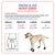 Ultra Paws Snow & Go Dog Boots