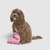 Canada Pooch Barbie Rollerblades Dog Toy