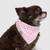 Canada Pooch Barbie Pink Checker Pet Bandana