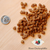 Fromm Four-Star Hasen Duckenpfeffer Recipe Grain-Free Dry Cat Food
