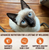 Wellness Core Signature Selects Flaked Skipjack Tuna & Shrimp Entree In Broth Grain-Free Canned Cat Food