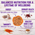 Wellness Core Digestive Health Chicken Pate Recipe Grain-Free Canned Cat Food