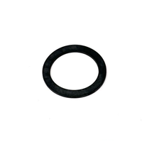 TVR L0066 Fuel tank sender sealing ring Early TVR L0066 Fuel tank sender sealing ring Early