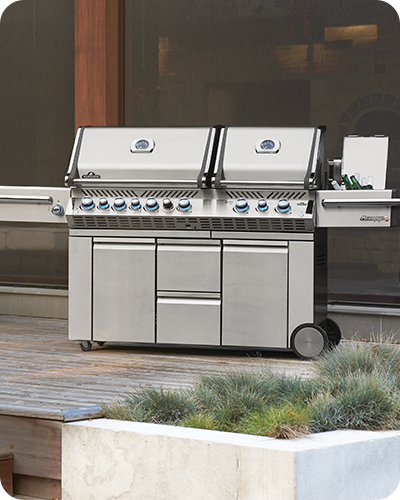Cart Model/Stand Alone Grills