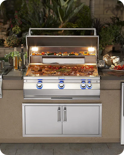 Fire Magic Aurora Series