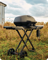 Portable Gas Grills