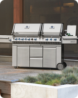 Cart Model/Stand Alone Grills