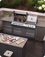 Oasis Modular Components