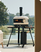 Dual Fuel / Hybrid Ovens