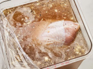 Best Turkey Seasonings