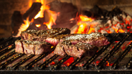 Best Napoleon Built-In Grills for Outdoor Kitchens (2026)