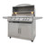 Blaze LTE Plus 40" 5-Burner Freestanding Gas Grill with Rear Burner & Lighting System