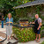 Fire Magic Echelon E540 30" Drop-In Gas Grill