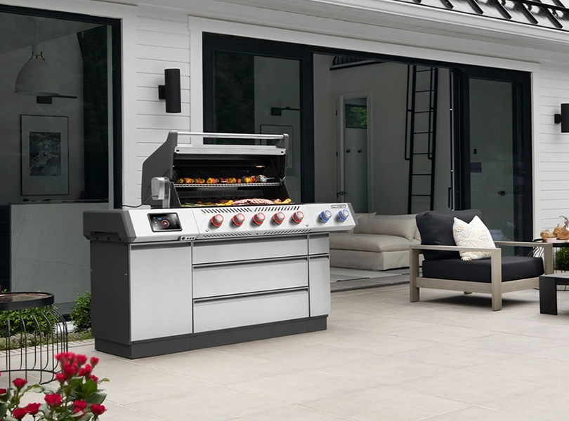 What Makes the Napoleon Prestige PRO 665 Elite Better Than the