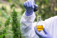 What is CBG?