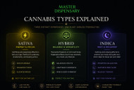 Cannabis Strain Profiles: Sativa, Hybrid & Indica