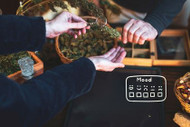 From Potency to Purpose: How Cannabis Products Are Evolving Around Moods & Lifestyle