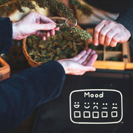 From Potency to Purpose: How Cannabis Products Are Evolving Around Moods & Lifestyle
