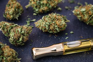 Cannabis Strain Profiles: Sativa, Hybrid & Indica