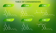 What are the Cannabinoids Benefits?