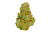 Exhale Flower 4 Grams