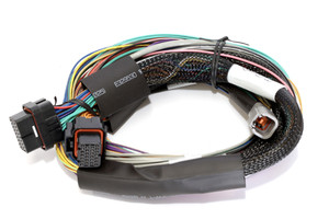 Haltech Elite 2500 Basic Univ. Wire Harness