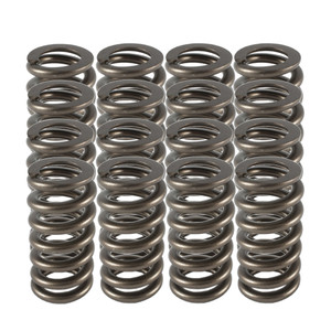 Pac Racing Springs 1.025 Valve Springs - Ovate Beehive (16)