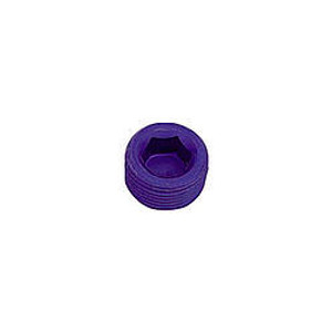 Xrp-Xtreme Racing Prod. 1/8In Allen Head Pipe Plug (2Pk) Xrp-Xtreme Racing Prod. 1/8In Allen Head Pipe Plug (2Pk)