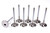 Ferrea Gm Ls C/P Hs 2.165 Intake Valves