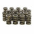 Isky Cams 1.570 Dual Valve Springs