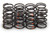 Isky Cams 1.095 Valve Springs 16Pk Single W/Damper