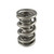 Pac Racing Springs 1.681 Triple Valve Spring Set