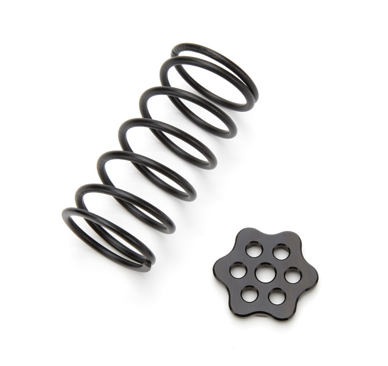 Ti22 Performance Master Cylinder Return Spring Black Steel Kit