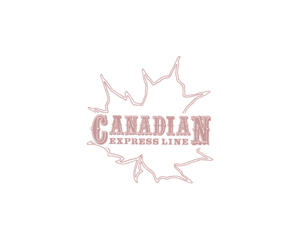 Drill bit, #80 (0.014" dia.) (x12)