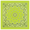 Neon Paisley Bandana Green