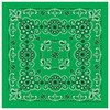 Texas Paisley Bandana Kelley