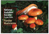 Audbn Pg: Mushrooms